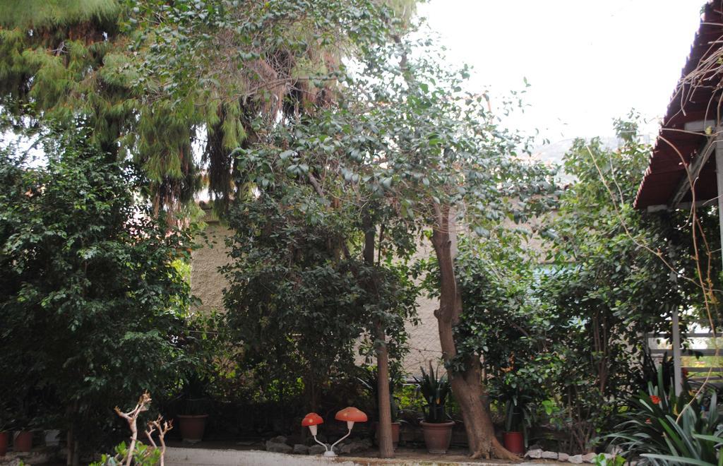 Pension Alkistis Tolo Exterior photo